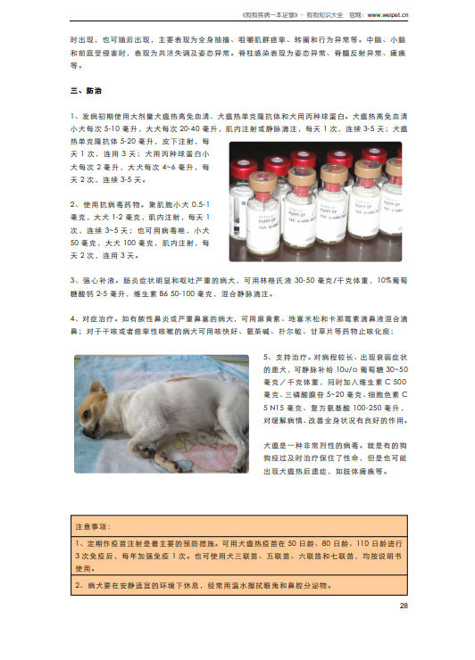 狗狗疾病一本足够-内容截图5